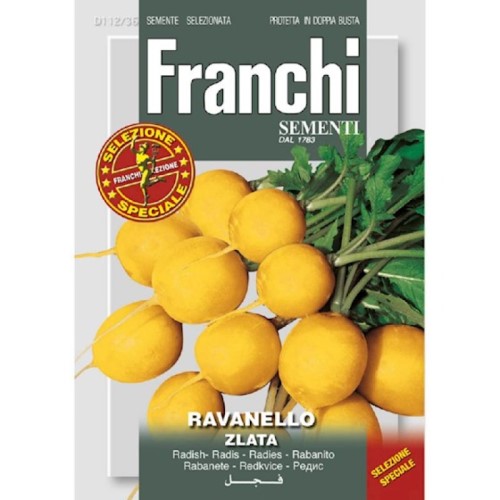 Radish Ravanello Zlata Seeds